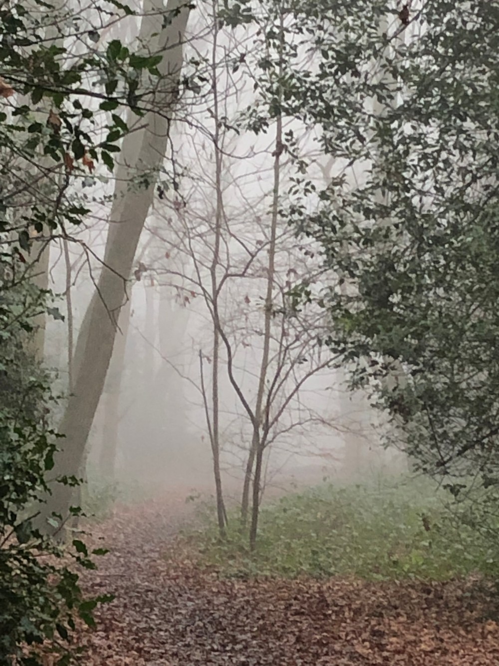 C6BFC114-6D05-4F48-AFA8-2E6A135CE227